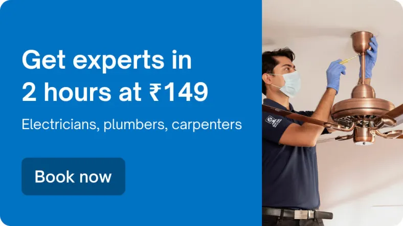 1678450687690 81f922